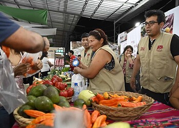 Grupo Perbra Holding confirma centro de distribuição de produtos peruanos pelo corredor interoceânico