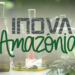 Negócios em bioeconomia podem se inscrever para o Inova Amazônia