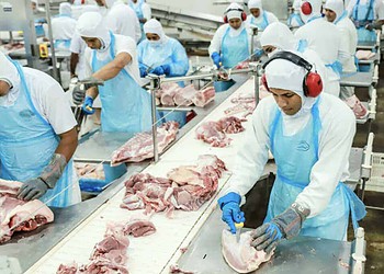 Acre recebe autorização para exportar carne suína para a República Dominicana