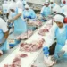 Acre recebe autorização para exportar carne suína para a República Dominicana