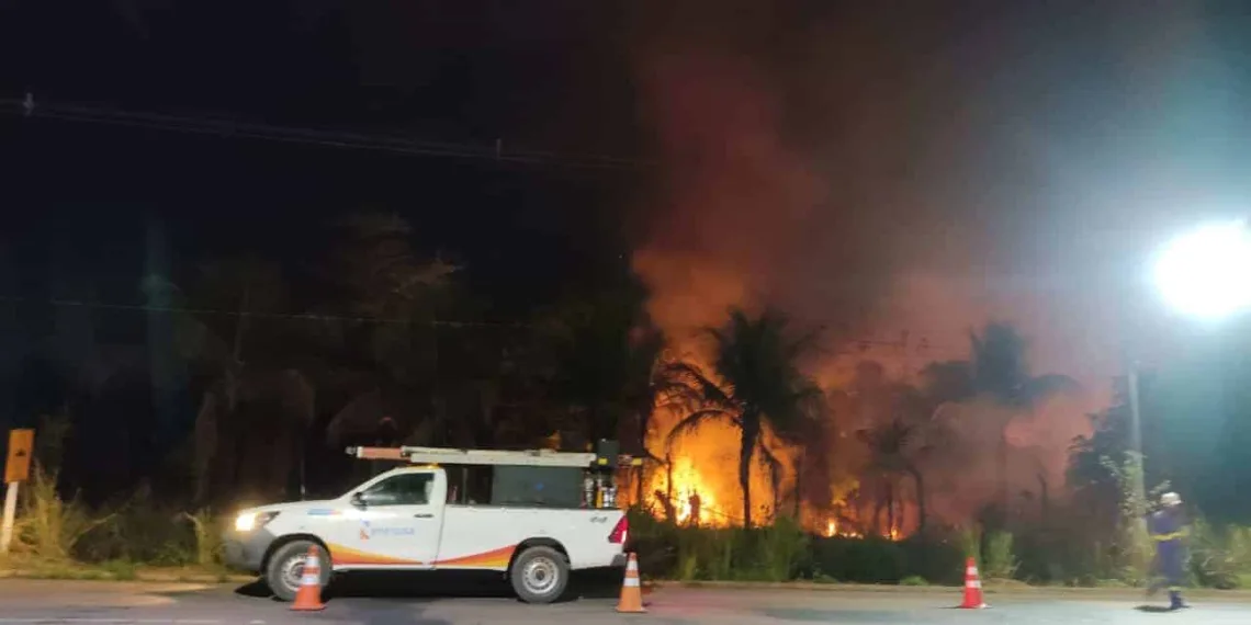 Energisa atua para evitar interrupção no fornecimento de energia causada por queimadas