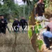 Pescador encontra corpo de homem em região de mata entre o ramal da Castanheira e Cidade do Povo