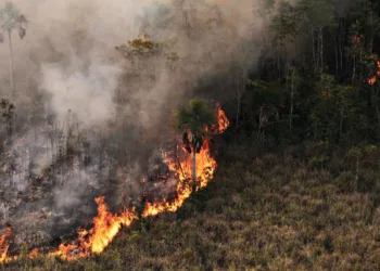 Fogo nas florestas, pastos e fumaça no ar. O que aprendemos (ou não) para evitar a repetição do desastre de 2005