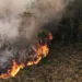 Fogo nas florestas, pastos e fumaça no ar. O que aprendemos (ou não) para evitar a repetição do desastre de 2005