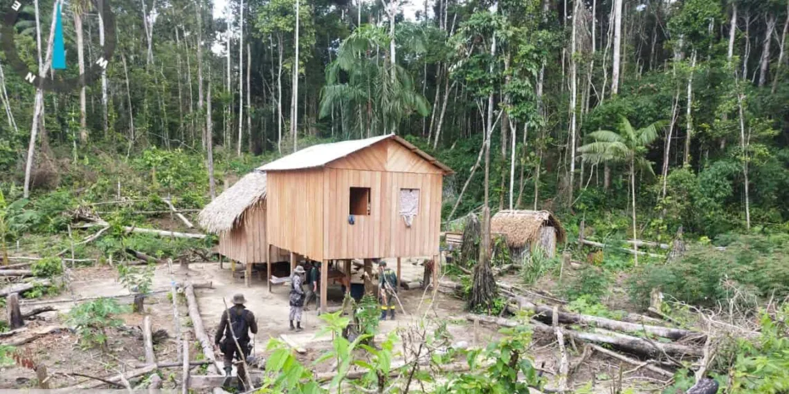 Três pessoas são presas por crimes ambientais no Acre