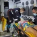 Jovem é atropelada na faixa de pedestre na BR-364
