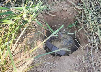 Polícia apreende droga escondida em quintal de casa no Calafate