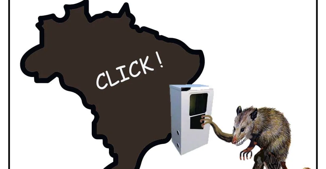 Deu mucura no Brasil