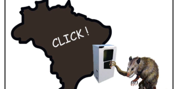Deu mucura no Brasil
