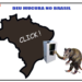 Deu mucura no Brasil