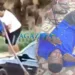 Homem furta moto e é capturado, amarrado e espancado por populares no interior do Acre