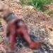 Homem é assassinado a golpes de terçado; corpo é encontrado às margens da BR-364