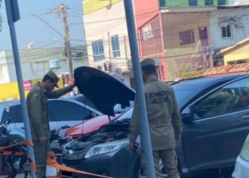 No bairro Bosque, mulher descobre jiboia no motor do carro e bombeiros não conseguem retirar animal