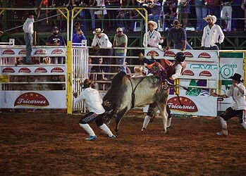 As apresentações de rodeio se estendem pela sexta-feira, 1º, seguidas pela semifinal e a final no sábado, 2.