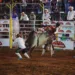 As apresentações de rodeio se estendem pela sexta-feira, 1º, seguidas pela semifinal e a final no sábado, 2.