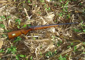 Adolescente leva tiro acidental de rifle no interior do Acre