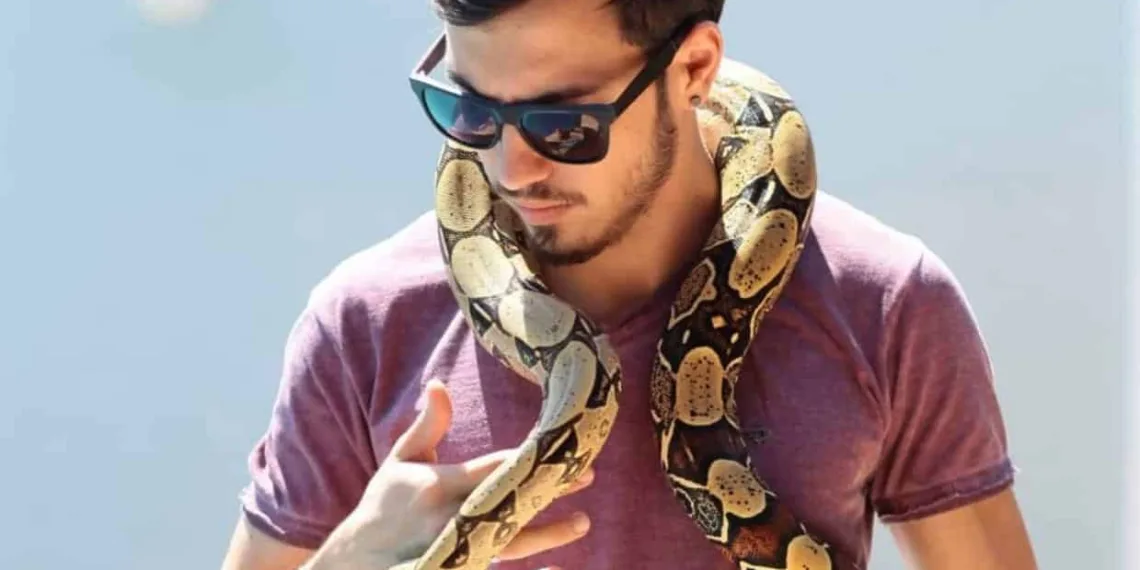 Jiboia de estimação desaparece de casa na Morada do Sol e tutor oferece recompensa para quem encontrar o animal