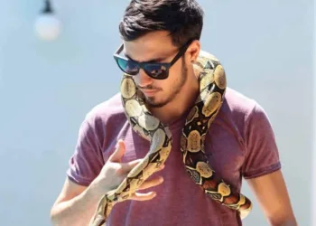 Jiboia de estimação desaparece de casa na Morada do Sol e tutor oferece recompensa para quem encontrar o animal
