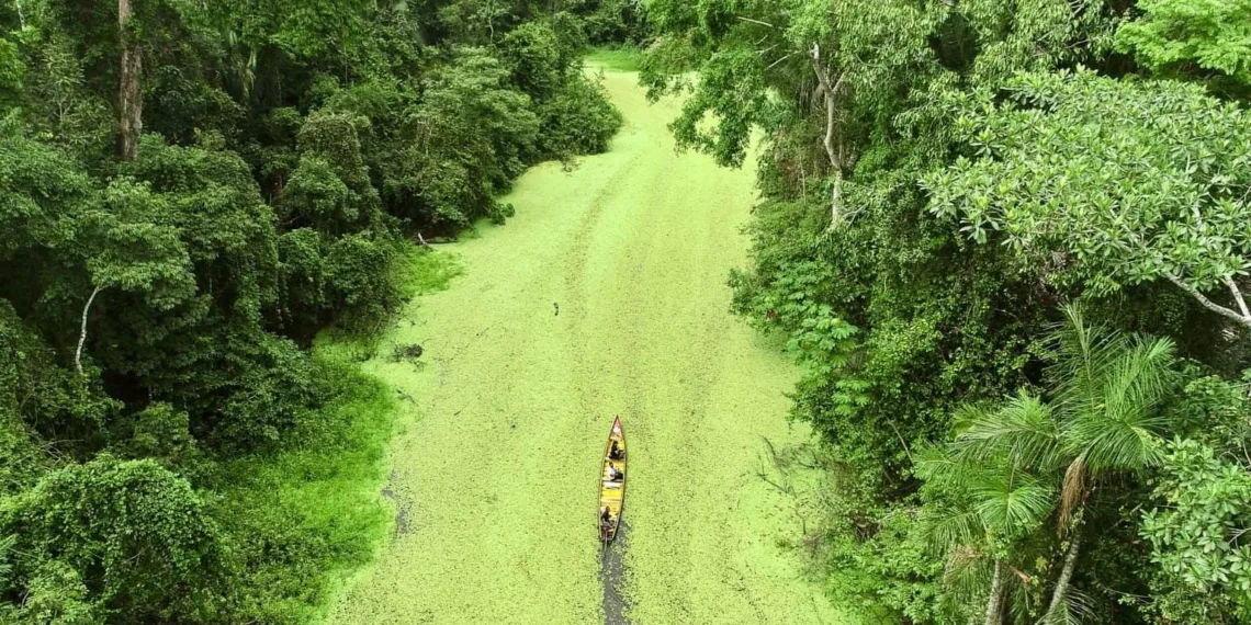 Do Acre, ecoam vozes de quem vive e trabalha mantendo a Floresta Amazônica em pé