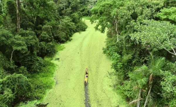 Do Acre, ecoam vozes de quem vive e trabalha mantendo a Floresta Amazônica em pé