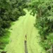 Do Acre, ecoam vozes de quem vive e trabalha mantendo a Floresta Amazônica em pé