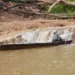 Rio Acre registra 1,48m nesta quinta-feira e seca atinge produtores rurais e ribeirinhos
