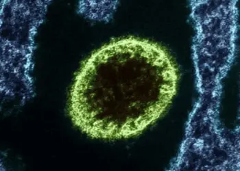 Índia fecha escolas e corre para conter surto de vírus mortal