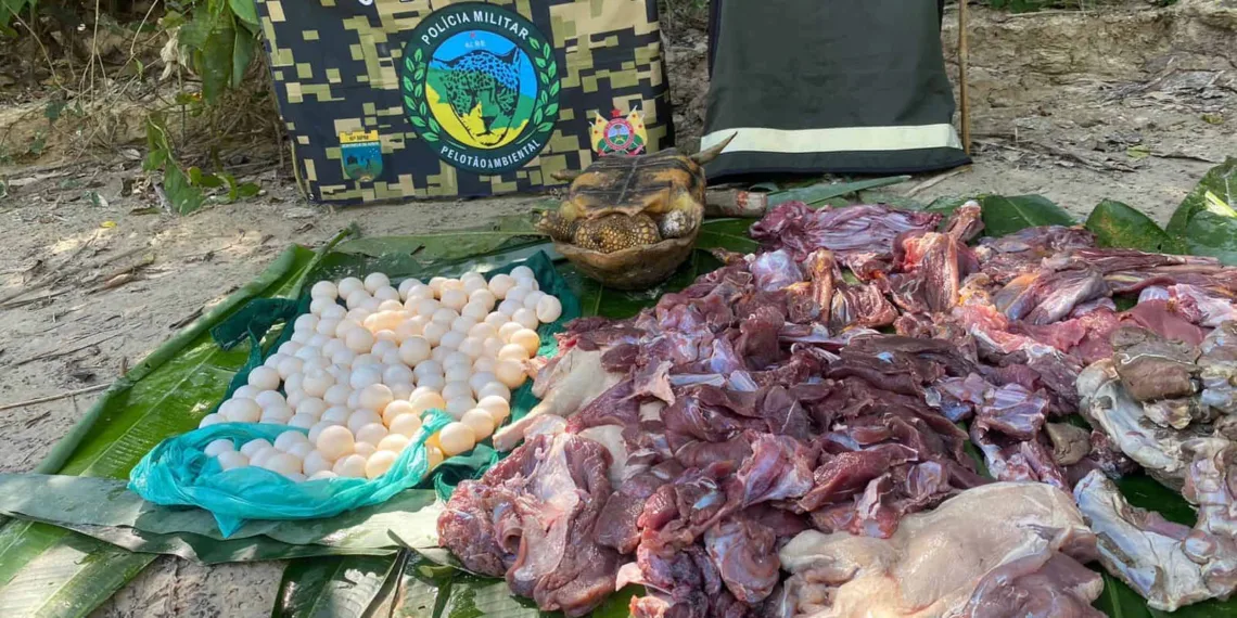 Polícia apreende carne de caça que seria vendida no interior do Acre