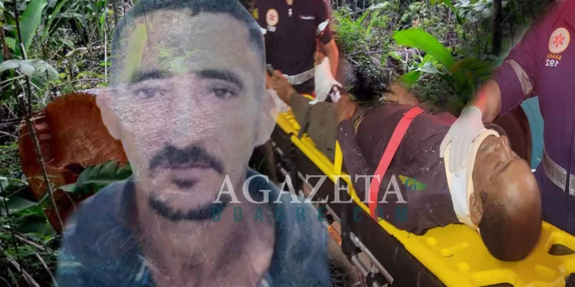Derrubada de árvore termina com um morto e outro ferido