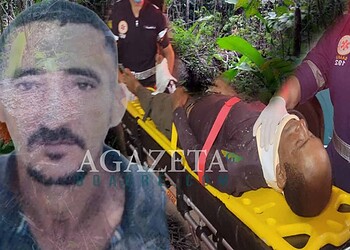 Derrubada de árvore termina com um morto e outro ferido