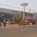 'Crime barbáro', diz Jorge Viana sobre derrubada de palmeira imperial na Avenida Chico Mendes
