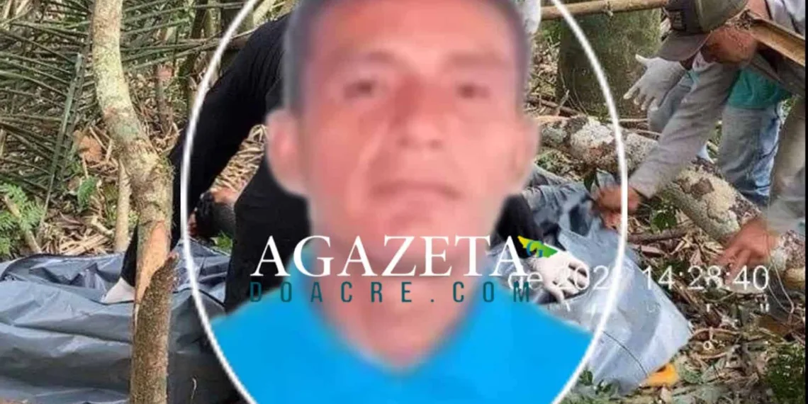 Homem tem a cabeça esmagada durante derrubada de árvore no interior do Acre