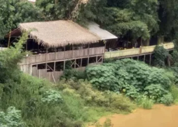 Temporal devasta Quintal do Osvaldo e proprietário chora: 'mais uma batalha'; assista