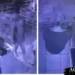 Vídeo mostra momento em que criminoso arromba farmácia e faz o 'limpa' no caixa