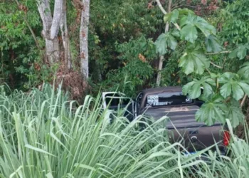 Motorista perde o controle e caminhonete cai em ribanceira após ultrapassagem perigosa