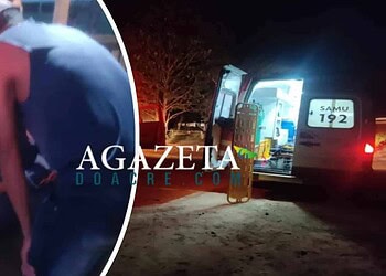 Idoso de 67 anos tem a cabeça esmagada por árvore durante derrubada