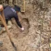 Corpo de brasileiro é encontrado em cova rasa na Bolívia