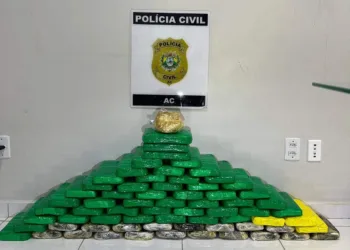 Polícia Civil apreende quase 80 quilos de cocaína em caminhão que viria de Cruzeiro do Sul para Rio Branco