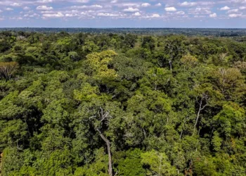 Governo federal anuncia instituto que fará projetos de restauração florestal no Acre