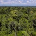 Acre reduz mais de 70% dos alertas de desmatamento em dez meses