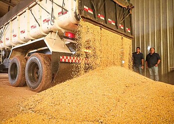 Setor compartilha um recorde na movimentação de secagem. Foto: José Caminha/Secom