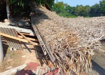 Amigos fazem campanha de arrecadação para reconstruir Quintal do Osvaldo; saiba como ajudar