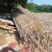 Amigos fazem campanha de arrecadação para reconstruir Quintal do Osvaldo; saiba como ajudar