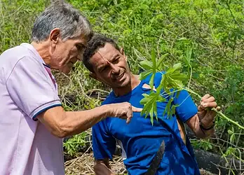 Foto: Ascom Prefeitura de Cruzeiro do Sul