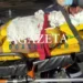 Ciclista colide na traseira de caminhão na BR-364, próximo ao aeroporto de Rio Branco