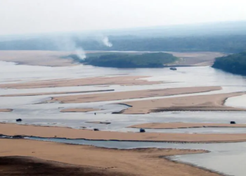 Seca na Amazônia: Rio Madeira está dando lugar a deserto de pedra e areia