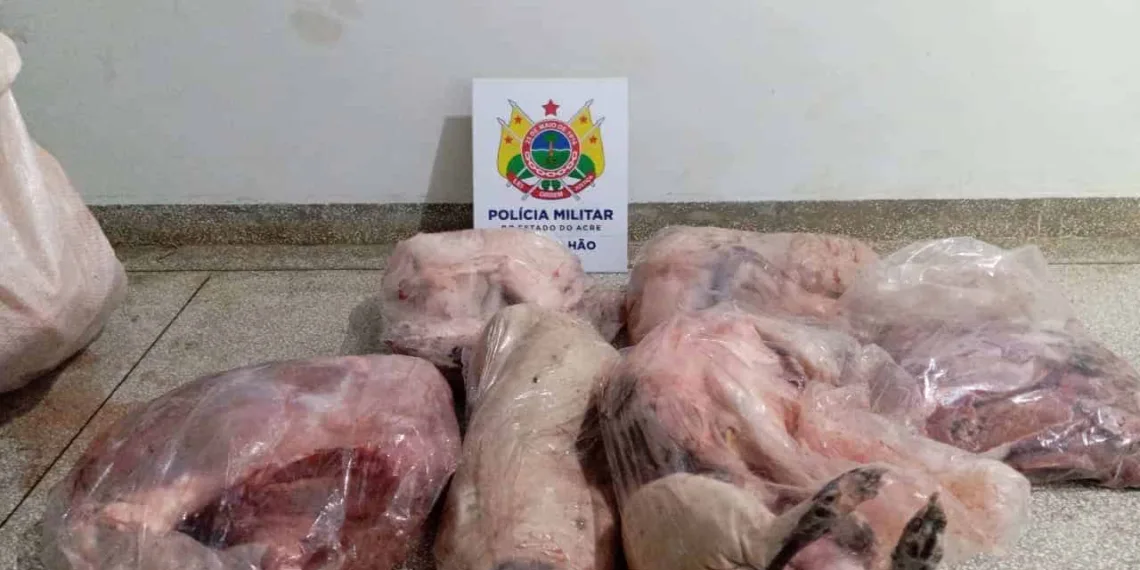 Em Cruzeiro do Sul, militares apreendem carne de caça