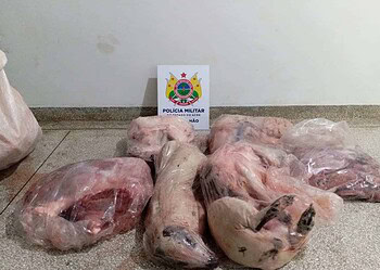 Em Cruzeiro do Sul, militares apreendem carne de caça