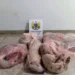 Em Cruzeiro do Sul, militares apreendem carne de caça