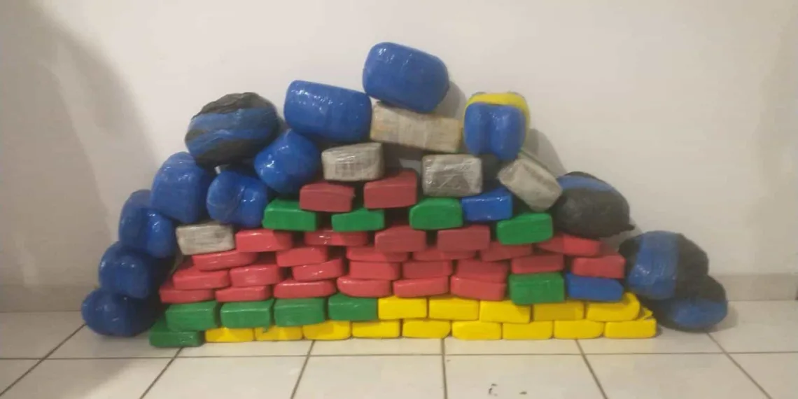 Operação Hórus apreende mais de 120 quilos de drogas no interior do Acre